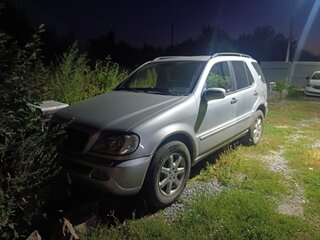 2002 Mercedes-Benz M-Класс 270 I (W163) Рестайлинг, серый, 1000000 рублей, вид 1