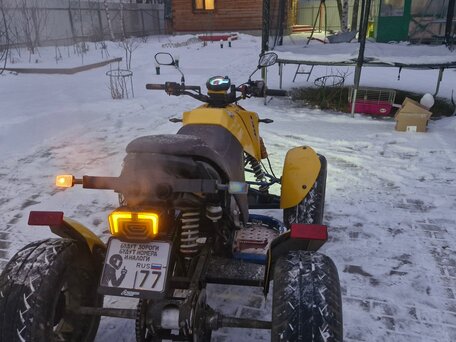 2005 Bashan BS250S5, жёлтый, 195000 рублей, вид 3