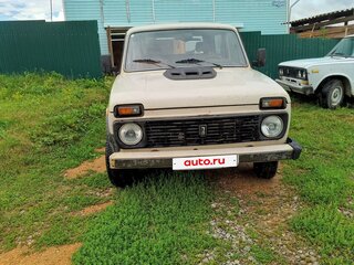 1995 Lada (ВАЗ) 2121 (4x4) I Рестайлинг, бежевый, 220000 рублей, вид 2