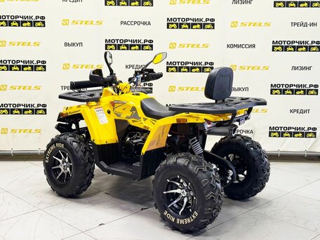 2026 Motoland Wild Track 200 X Pro, жёлтый, 219000 рублей, вид 3