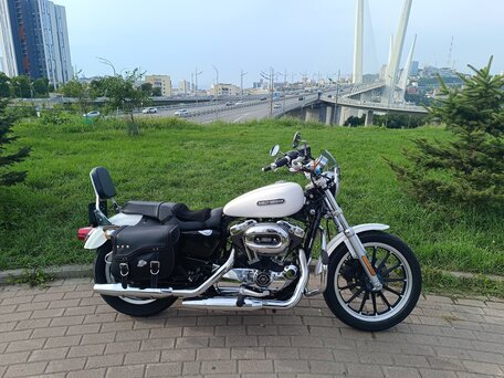 2007 Harley-Davidson Sportster 1200, белый, 533000 рублей, вид 4