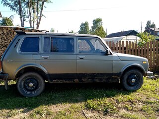 2000 Lada (ВАЗ) 2131 (4x4) I, серый, 200000 рублей, вид 3
