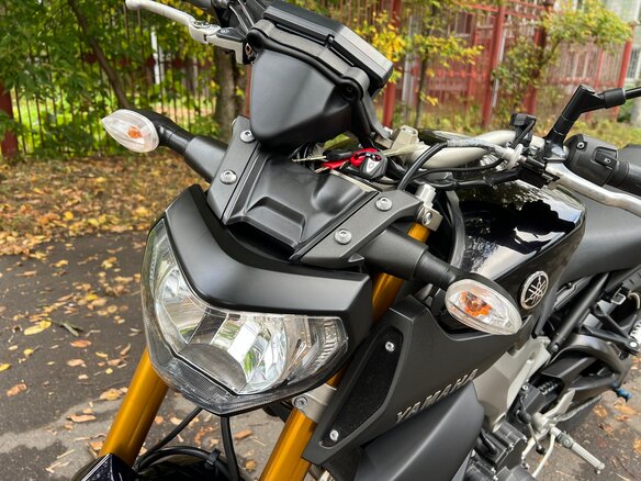 2014 Yamaha MT-09 (FZ-09), фиолетовый - вид 9