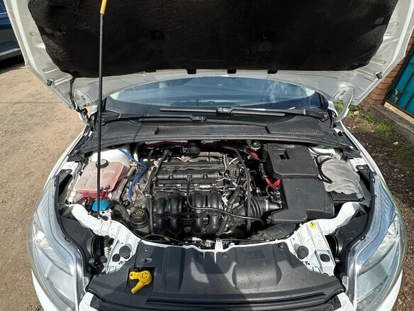 2012 Ford Focus III, белый, 950000 рублей - вид 12
