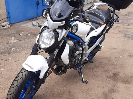 2009 Suzuki SFV 650 Gladius, синий, 400000 рублей, вид 1