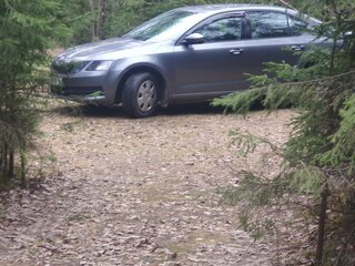 2017 Skoda Octavia III (A7) Рестайлинг, серый, 1950000 рублей, вид 1