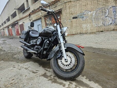 2005 Yamaha XVS1100, чёрный, 445000 рублей, вид 1
