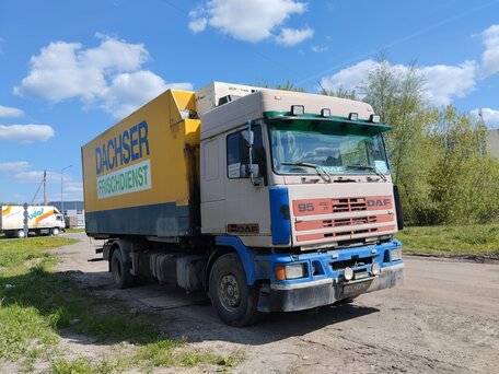 1993 DAF XF 95, белый, 1300000 рублей, вид 1
