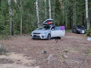 2010 Kia Cerato Koup II, серый, 670000 рублей, вид 2