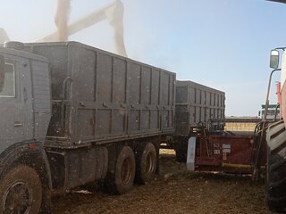 1990 КамАЗ 5320, серый, 750000 рублей, вид 3