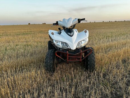 2016 Sym Husky 125, белый, 175000 рублей, вид 3