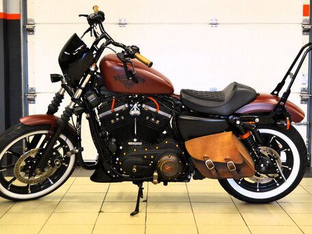 2017 Harley-Davidson Sportster 883, коричневый, 1450000 рублей, вид 2