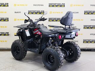2025 Iride 200 Rover L, чёрный, 179000 рублей, вид 4