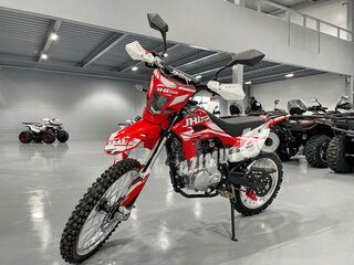 2025 JHL SX150, красный, 119990 рублей, вид 2