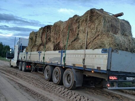 2003 Freightliner Columbia, белый, 1700000 рублей, вид 2