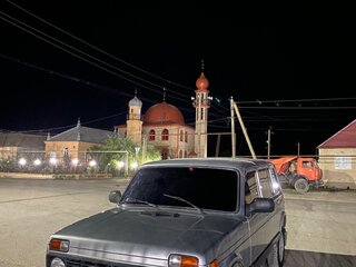 2011 Lada (ВАЗ) 2131 (4x4) I, серебристый, 500000 рублей, вид 1