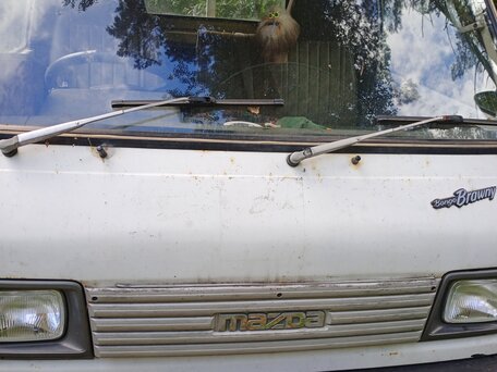 1989 Mazda Bongo, белый, 360000 рублей, вид 5