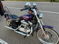 2007 Harley-Davidson Sportster 883, фиолетовый, 550000 рублей