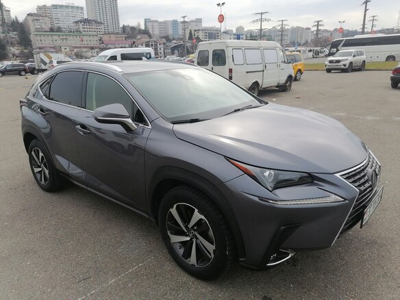 2021 Lexus NX 300 I Рестайлинг, серый, 2900000 рублей - вид 13