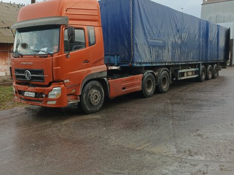 2007 Dongfeng DFL-series, красный, 2500000 рублей, вид 3