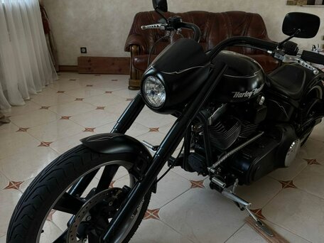2014 Harley-Davidson Softail Custom, чёрный, 8442830 рублей, вид 3