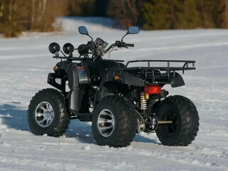 2025 Raptor MAX 300, чёрный, 295900 рублей, вид 2