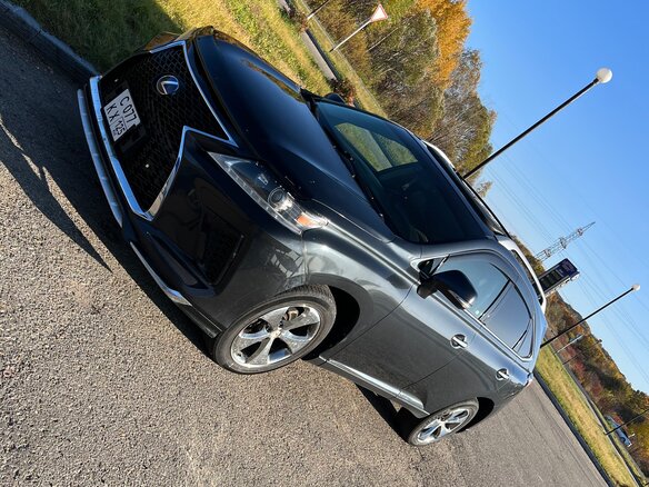 2010 Lexus RX 350 III, серый, 2000000 рублей - вид 13