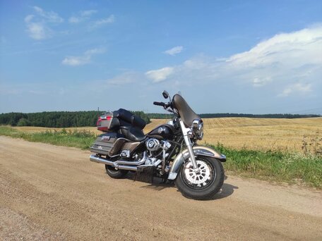 2003 Harley-Davidson Electra Glide, коричневый, 597922 рублей, вид 1