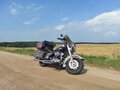 2003 Harley-Davidson Electra Glide, коричневый, 594334 рублей