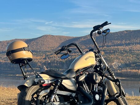 2014 Harley-Davidson Sportster 883, бежевый, 970000 рублей, вид 5