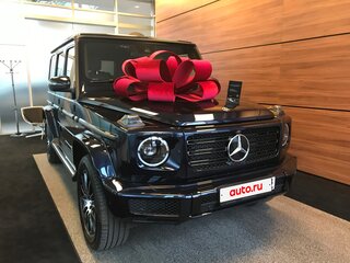 2019 Mercedes-Benz G-Класс 500 III (W463), синий, 12000000 рублей, вид 1