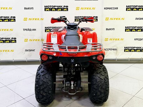 2025 Bison ATV200, красный, 218990 рублей, вид 4