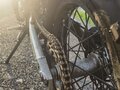 2023 FX moto X7 (CB 250), чёрный, 120000 рублей - вид 4