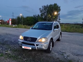 2002 Mercedes-Benz M-Класс 320 I (W163) Рестайлинг, серый, 765000 рублей, вид 1