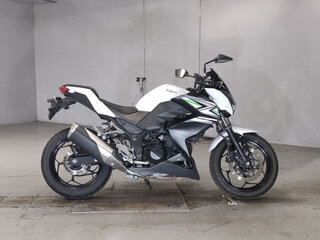 2014 Kawasaki Z 250, белый, 375000 рублей, вид 3