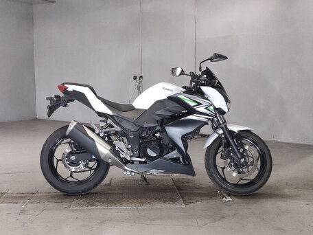 2014 Kawasaki Z 250, белый, 375000 рублей, вид 3