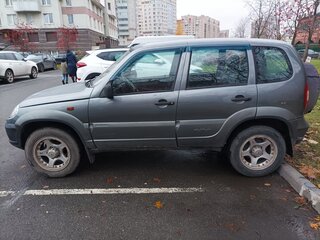 2007 Chevrolet Niva I, серый, 290000 рублей, вид 2
