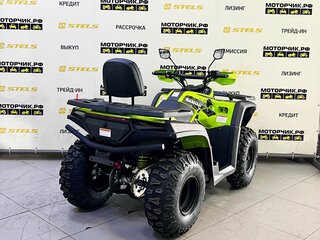2025 Bashan Explorer 300, зелёный, 339000 рублей, вид 5