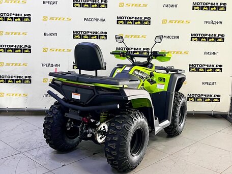 2025 Bashan Explorer 300, зелёный, 339000 рублей, вид 5