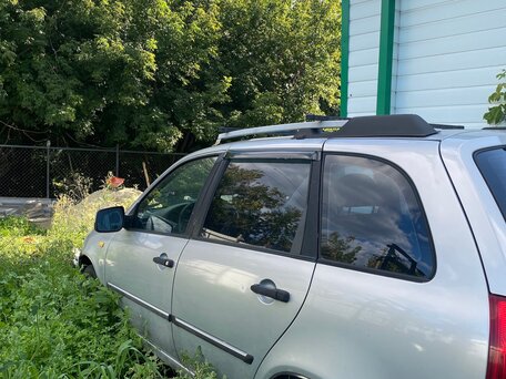 2010 Lada (ВАЗ) Kalina I, серебристый, вид 4
