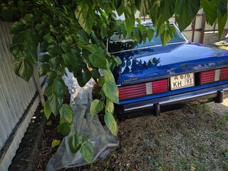 1981 Mercury Marquis IV, синий, 2800000 рублей, вид 4