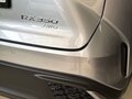 2023 Lexus RX 350 V, серебристый, 12500000 рублей - вид 7