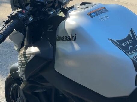 2019 Kawasaki Z 650, белый, 775000 рублей, вид 4