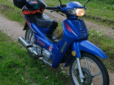 2009 Reggy Breeze, синий, 50000 рублей, вид 3