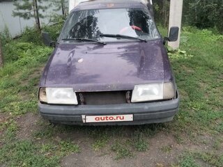 2003 Иж 2717, фиолетовый, 250000 рублей, вид 2