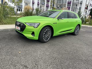 2019 Audi e-tron 50 I, зелёный, 4100000 рублей, вид 1