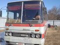1988 Ikarus 250, красный, 550000 рублей - вид 2