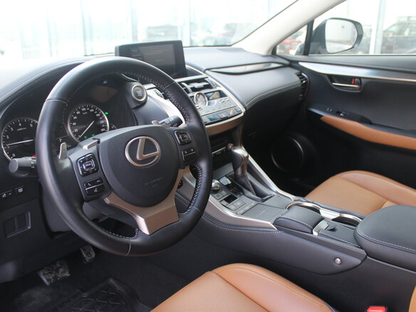 2019 Lexus NX 300 I Рестайлинг, белый - вид 11
