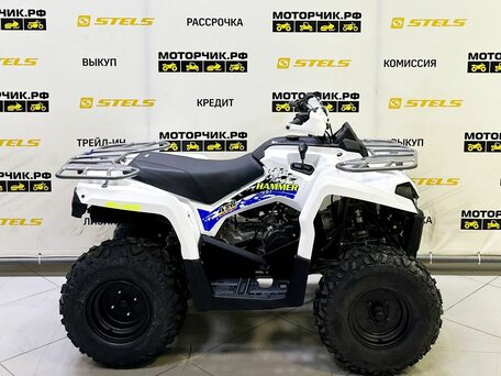 2025 Bison ATV200, белый, 218990 рублей, вид 5