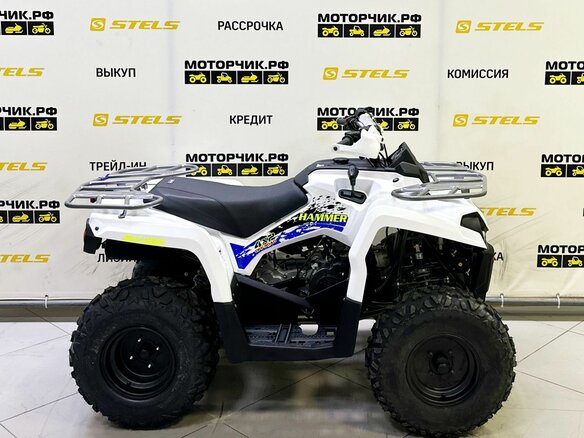 2025 Bison ATV200, белый - вид 4